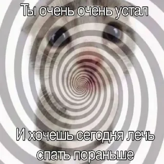 Стикер Вселенная котиков @footpic6 - 7