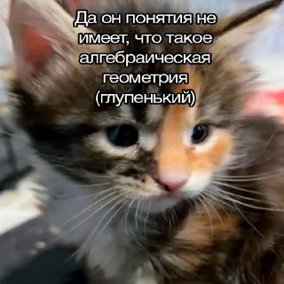 Стикер Вселенная котиков @footpic6 - 9