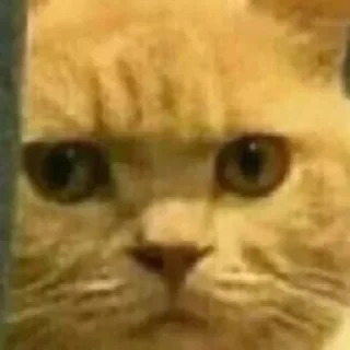 Sticker На все случаи жизне - 3