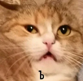 Sticker На все случаи жизне - 9