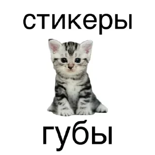 Sticker для богем - 11