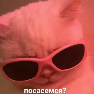 Sticker cute🥺💐 - 5