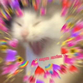 Sticker cute🥺💐 - 7