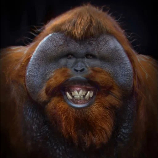 Стикер For Narniya - 10