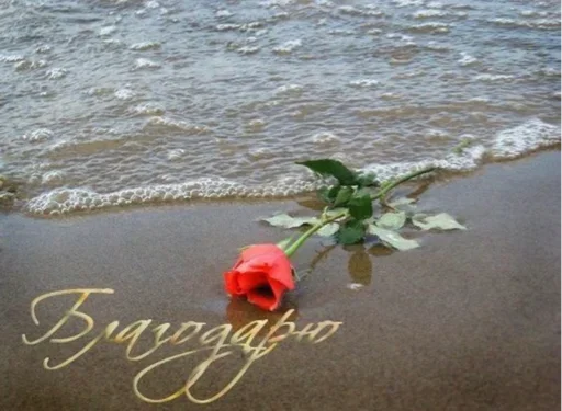 на случай вп - 