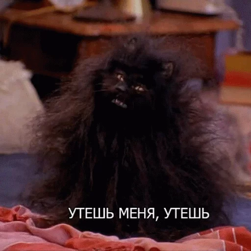 животное млекопитающее мех