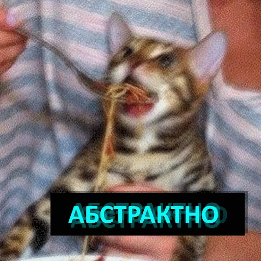 животное млекопитающее кошка