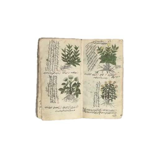 Стикер forest path🌸 - 9