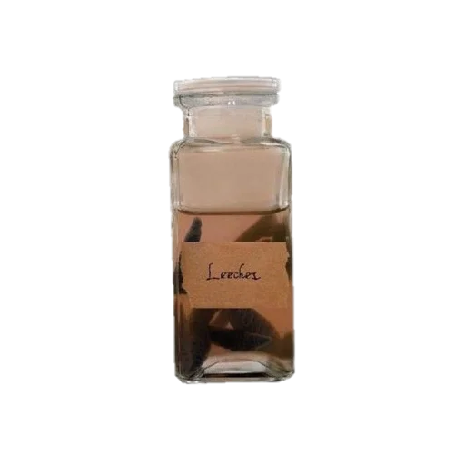 Стикер forest path🌸 - 6