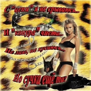 Sticker Кисуль - 8