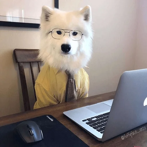 Sticker formycuties - 1