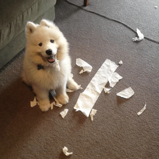 Стикер formycuties - 1