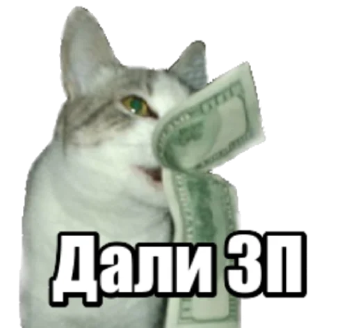 Sticker fortycats - 1