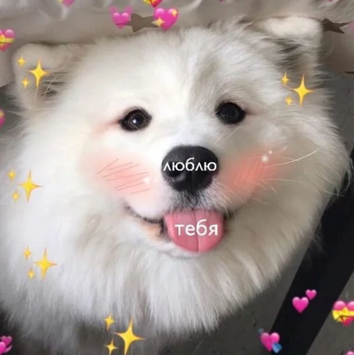 Sticker for пупи my bby - 0