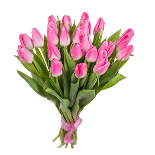 Sticker Цветы для ум Малик от кого–то - 8