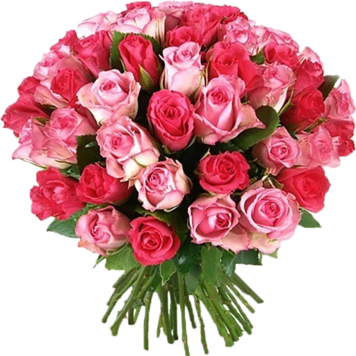 Sticker Цветы для ум Малик от кого–то - 3