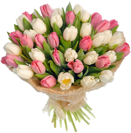 Sticker Цветы для ум Малик от кого–то - 2