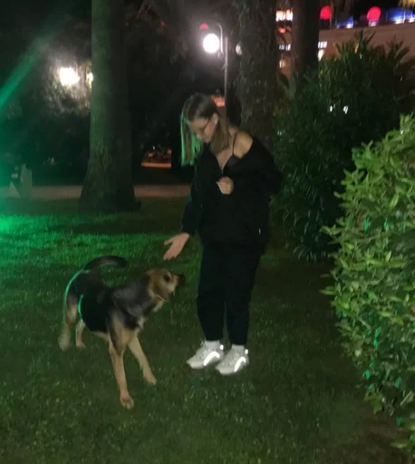 трава на открытом воздухе дерево