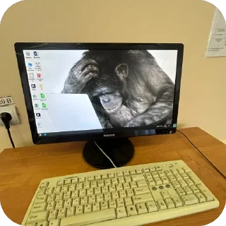 Sticker Фототуз🔤 @bandaAlfiiubashki - 5