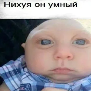 Sticker fourpack - 2