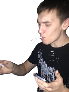 Sticker fox pack - 7