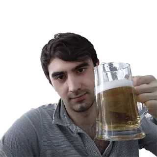 Sticker fox pack - 6