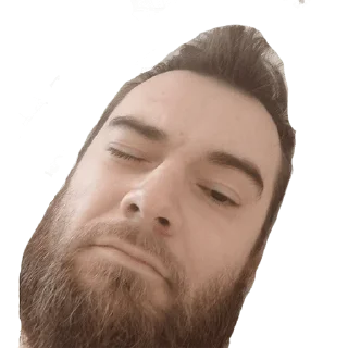 Sticker fox pack - 11