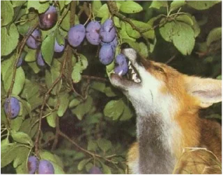 Стикер Лис - 6