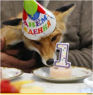 Стикер Лис - 5