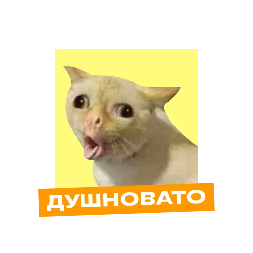 Sticker foxford_edu - 1