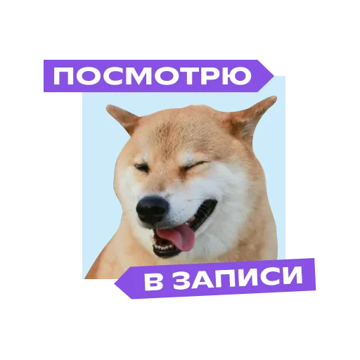 Sticker foxford_edu - 1