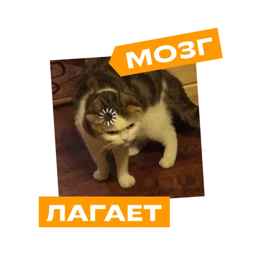 Sticker foxford_edu - 1