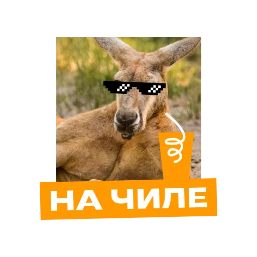 Sticker foxford_edu - 1