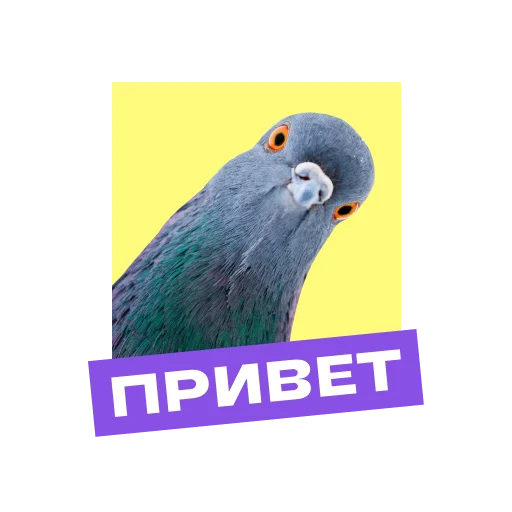 «Фоксфорд» @foxford_edu - 