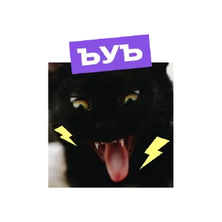 Sticker «Фоксфорд» @foxford_edu - 6