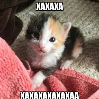 Стикер Больше стиков тут: @stikery4 - 2