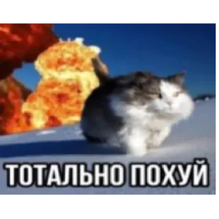 Sticker frosya pack - 7