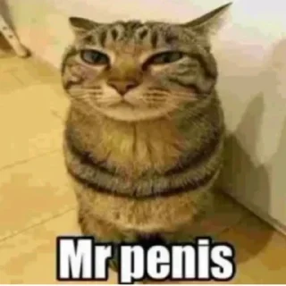 Sticker frosya pack - 8