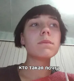 Sticker Стикерпак для пидорасов - 11