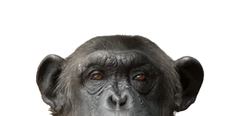 Sticker frankenstein_constructor - 1