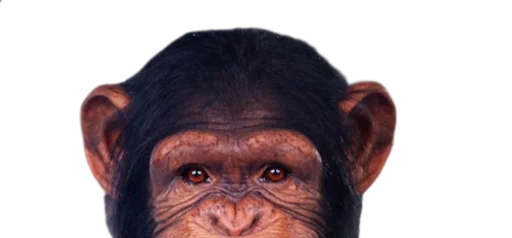 Sticker frankenstein_constructor - 1