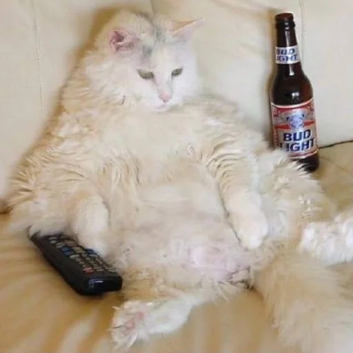 Стикер gatti fráncour :: @fStikBot - 11