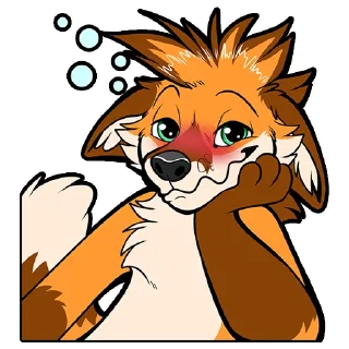 Sticker Cadenza Fox Pack - 11