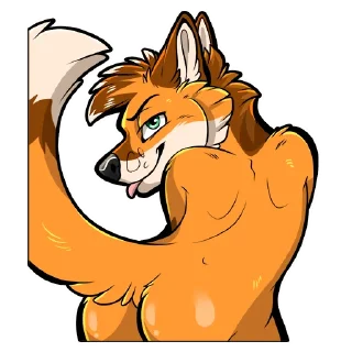 Sticker Cadenza Fox Pack - 7