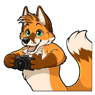 Sticker Cadenza Fox Pack - 2