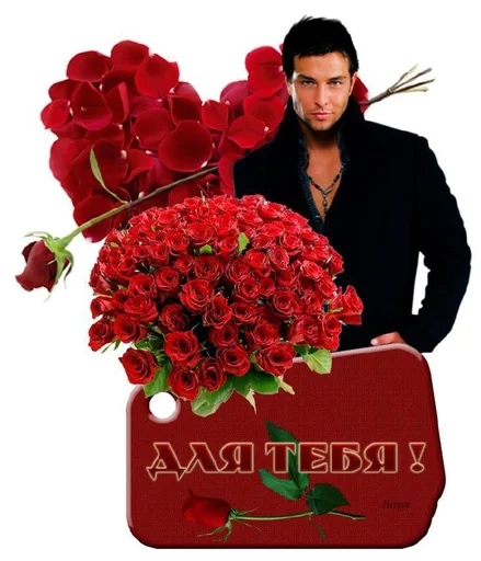 rose floristry cut flowers