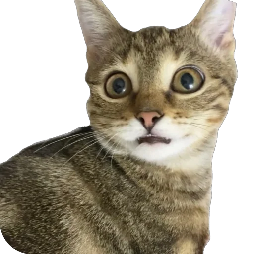 Стикер freja29 - 1