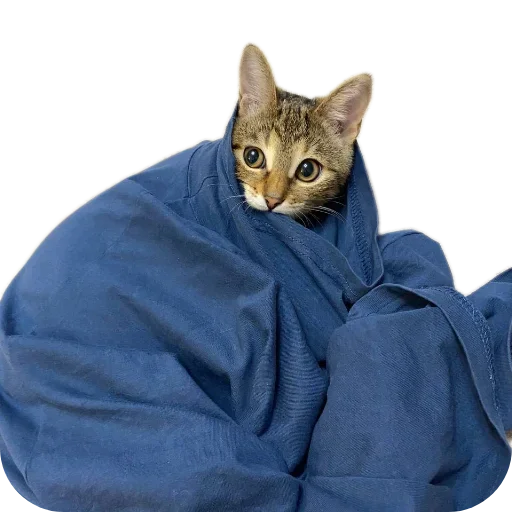 Стикер freja29 - 1