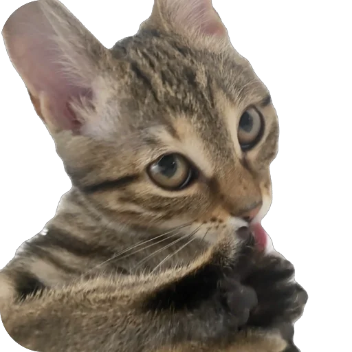 Стикер freja29 - 1