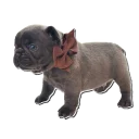 Sticker Frenchie Sticker Pack - 7